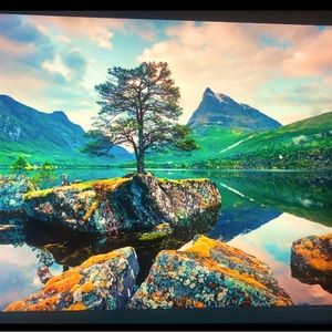 COPY - I am live! Like for live show notification